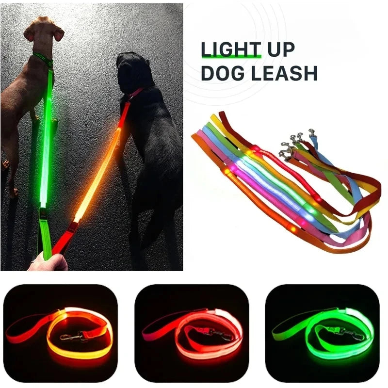 Laisse Lumineuse LED Rechargeable USB pour Chien