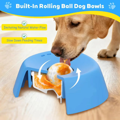 Gamelle Anti-Glouton pour Chien