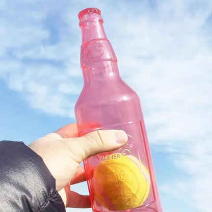Jouet à Mâcher Bouteille pour Chien