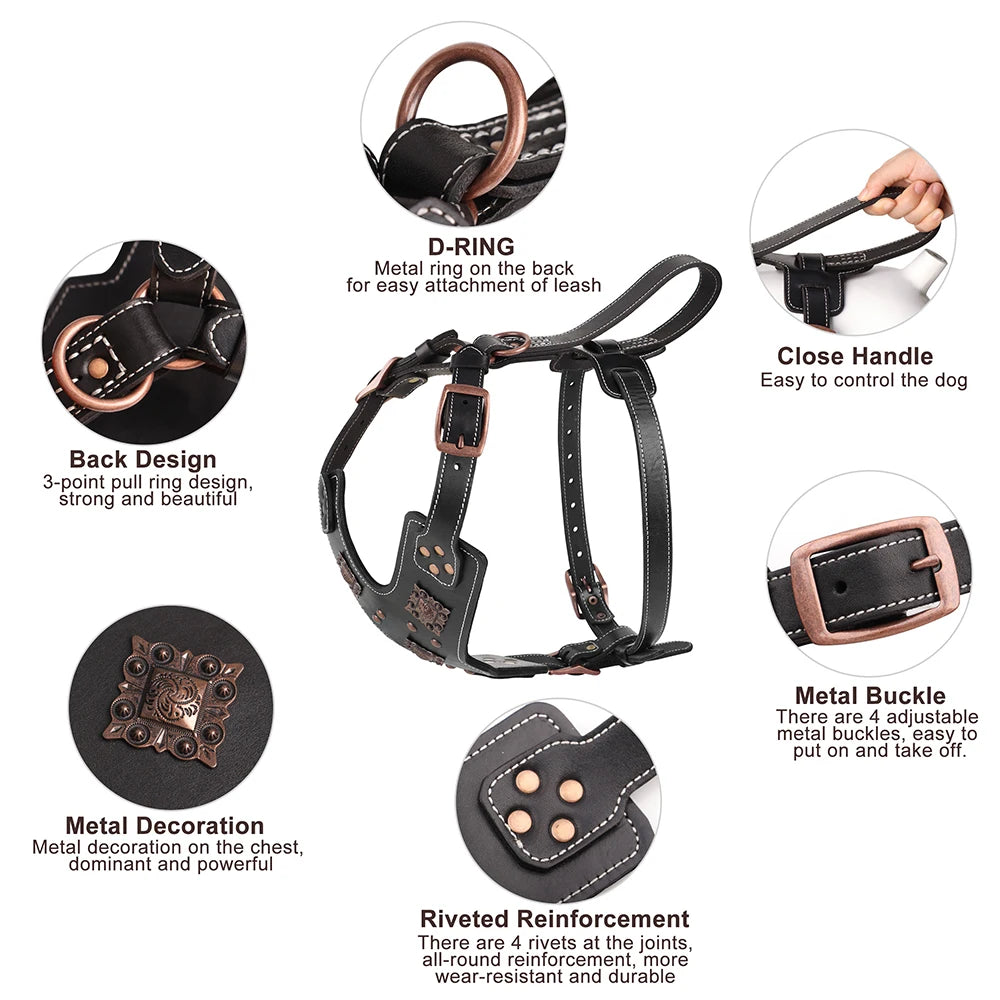 Harnais en Cuir Véritable pour Grand Chien