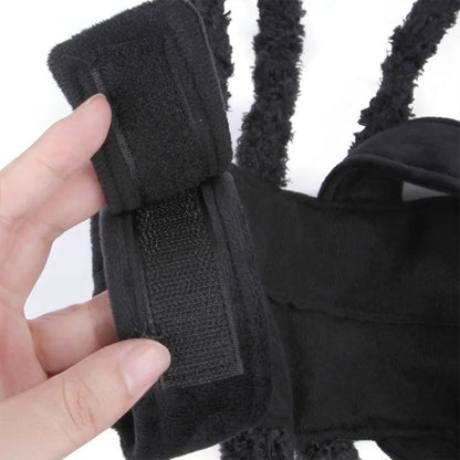 Déguisement Araignée Halloween pour Chien