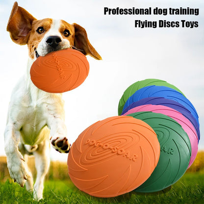 Frisbee pour Grand Chien