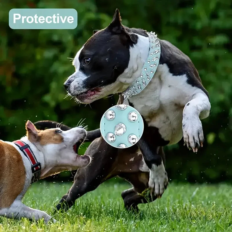 Collier Clouté avec Laisse pour Chien