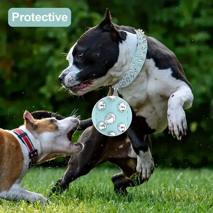 Collier Clouté avec Laisse pour Chien