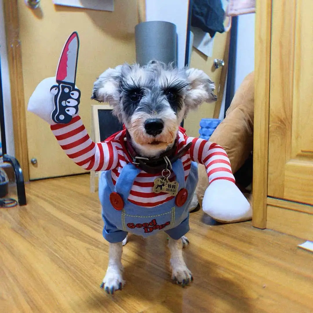 Déguisement Halloween Rayé pour Chien