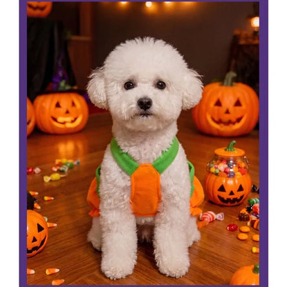 Déguisement Citrouille pour Petit Chien