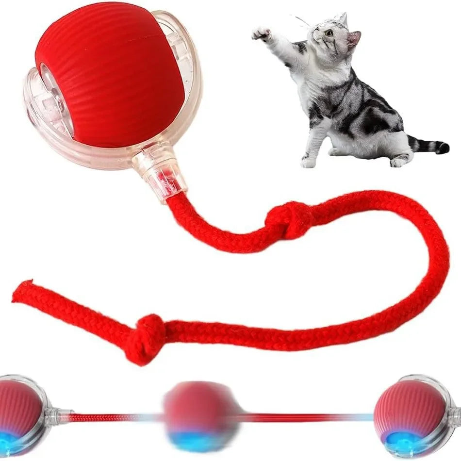 Balle Roulante Automatique pour Chat