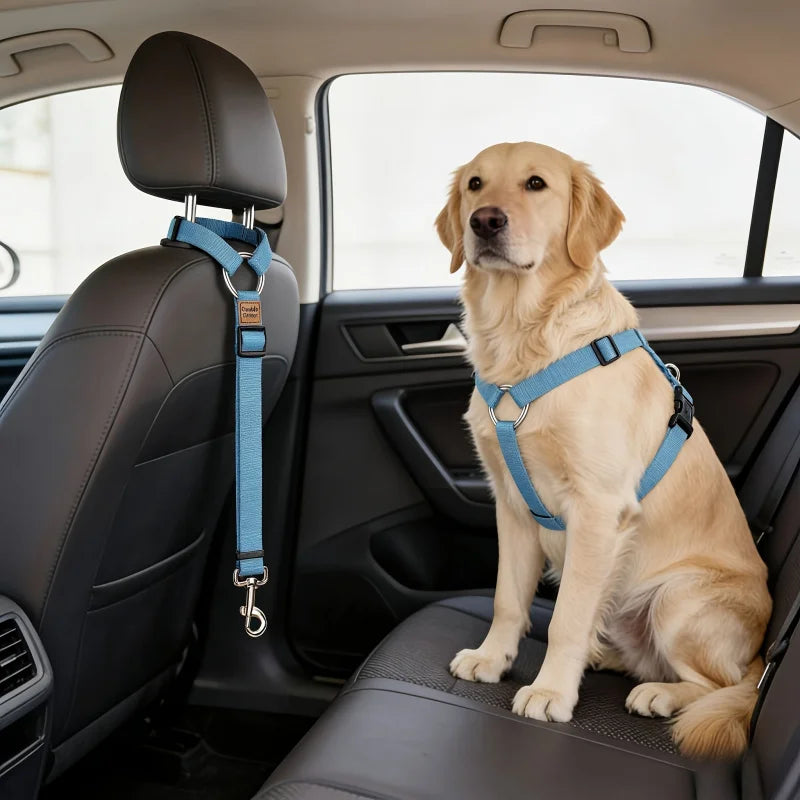 Ceinture de Sécurité Ajustable Nylon pour Chien