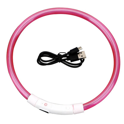Collier LED USB Rechargeable pour Chien