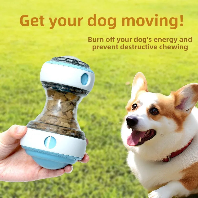 Balle Distributrice de Friandises pour Chien