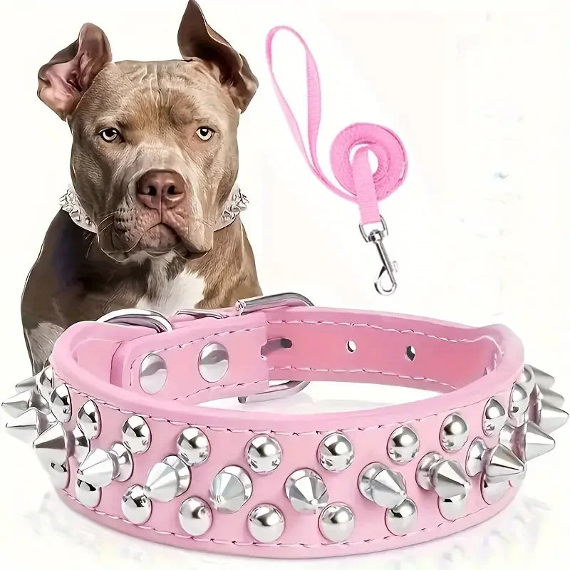 Collier Clouté avec Laisse pour Chien