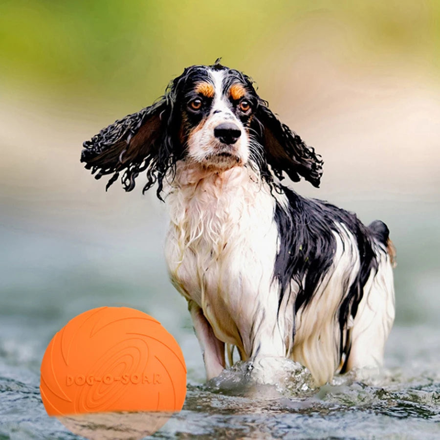 Frisbee pour Grand Chien