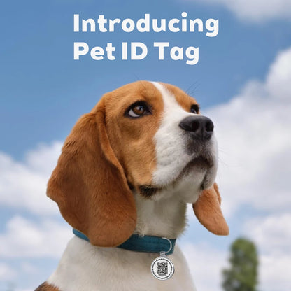 Médaille QR Code pour Chien avec Alertes en Temps Réel