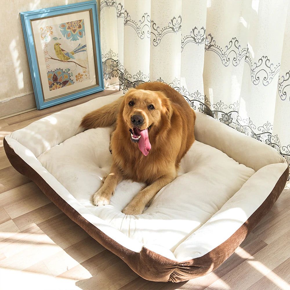 Panier de Transport Pliable pour Chien