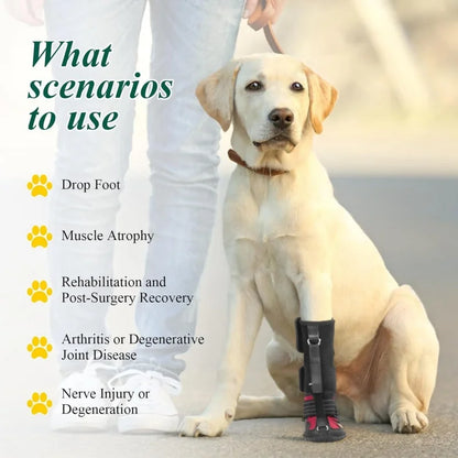 Bottes Antidérapantes Respirantes pour Chien
