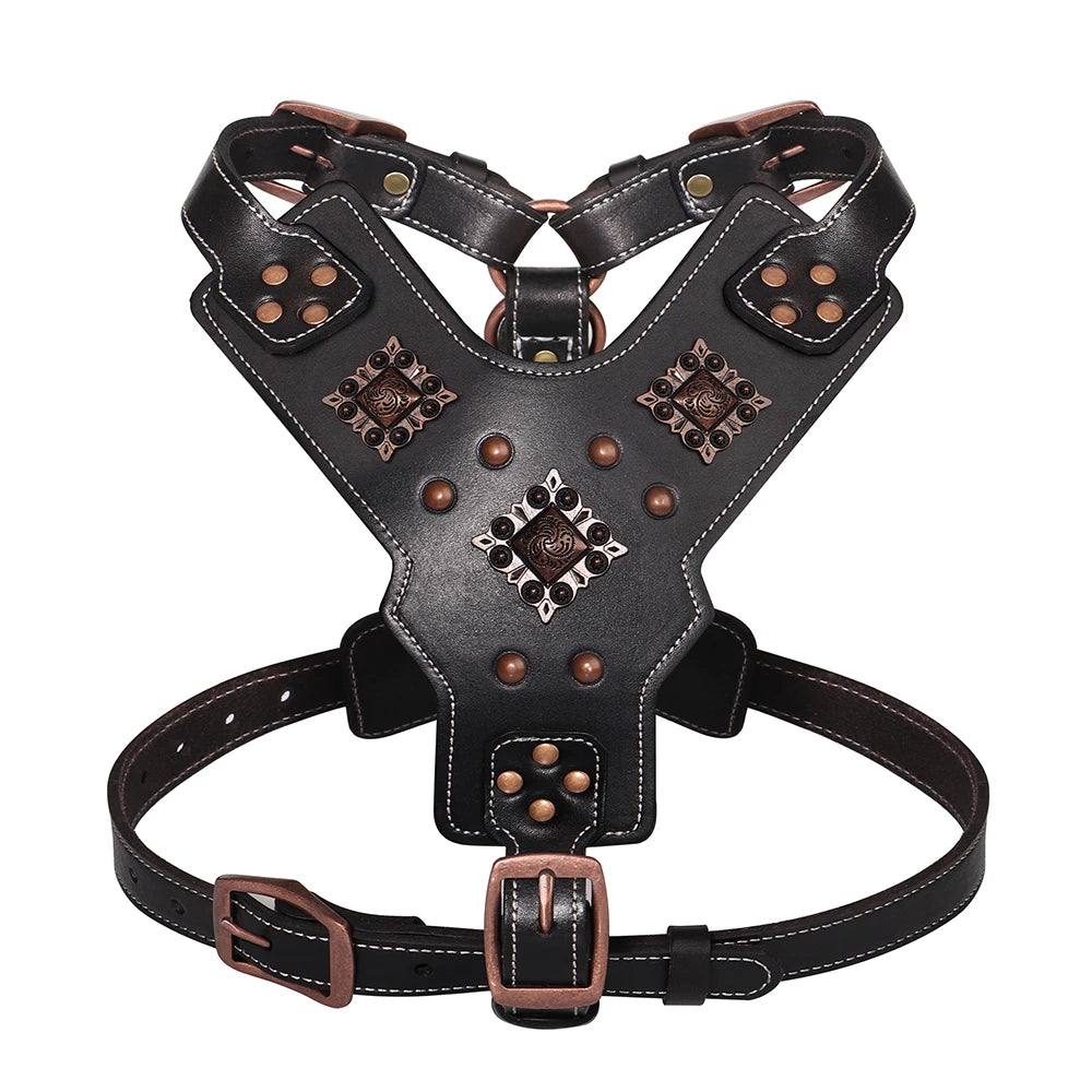 Harnais en Cuir Véritable pour Grand Chien