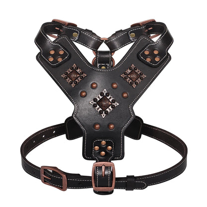 Harnais en Cuir Véritable pour Grand Chien