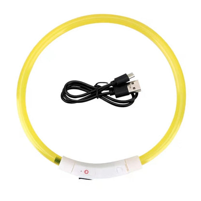 Collier LED USB Rechargeable pour Chien