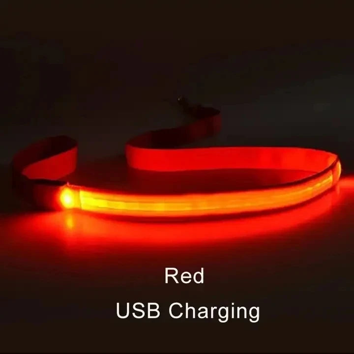 Laisse Lumineuse LED Rechargeable USB pour Chien