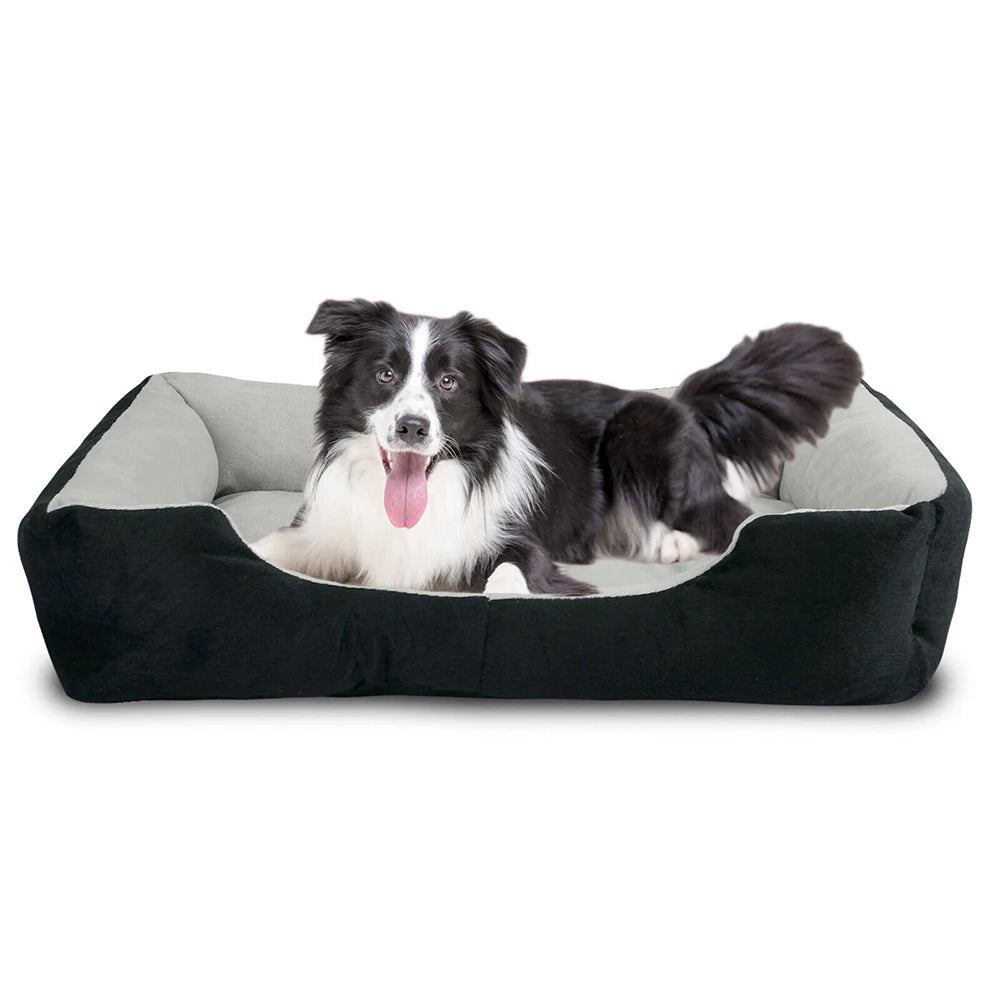 Panier de Transport Pliable pour Chien
