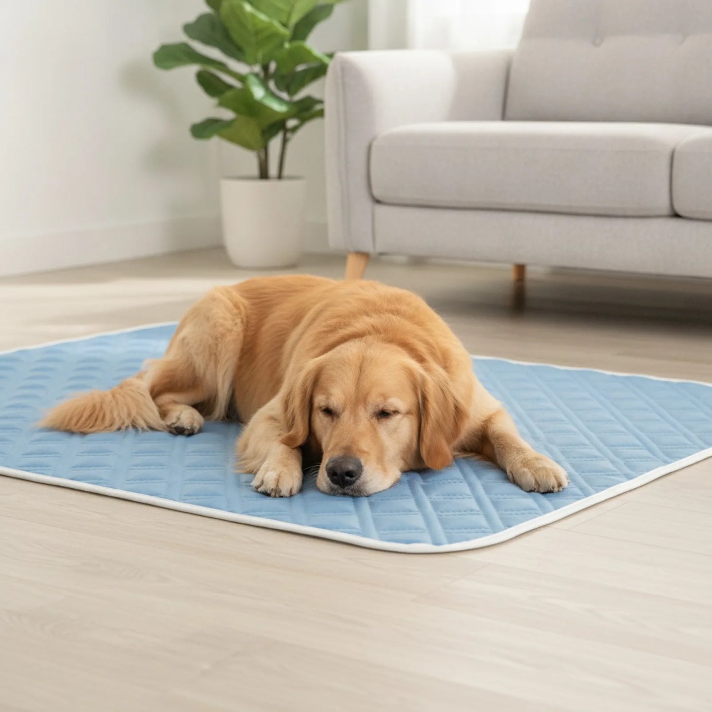 Tapis Rafraîchissant Soie Glacée pour Chien & Chat