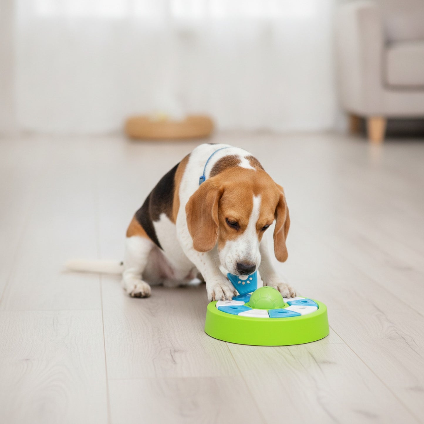Gamelle Puzzle Interactive pour Chiens et Chats