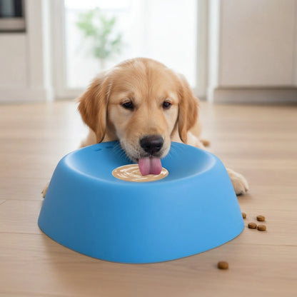 Bol mangeoire lente anti-étouffement pour chien - en situation