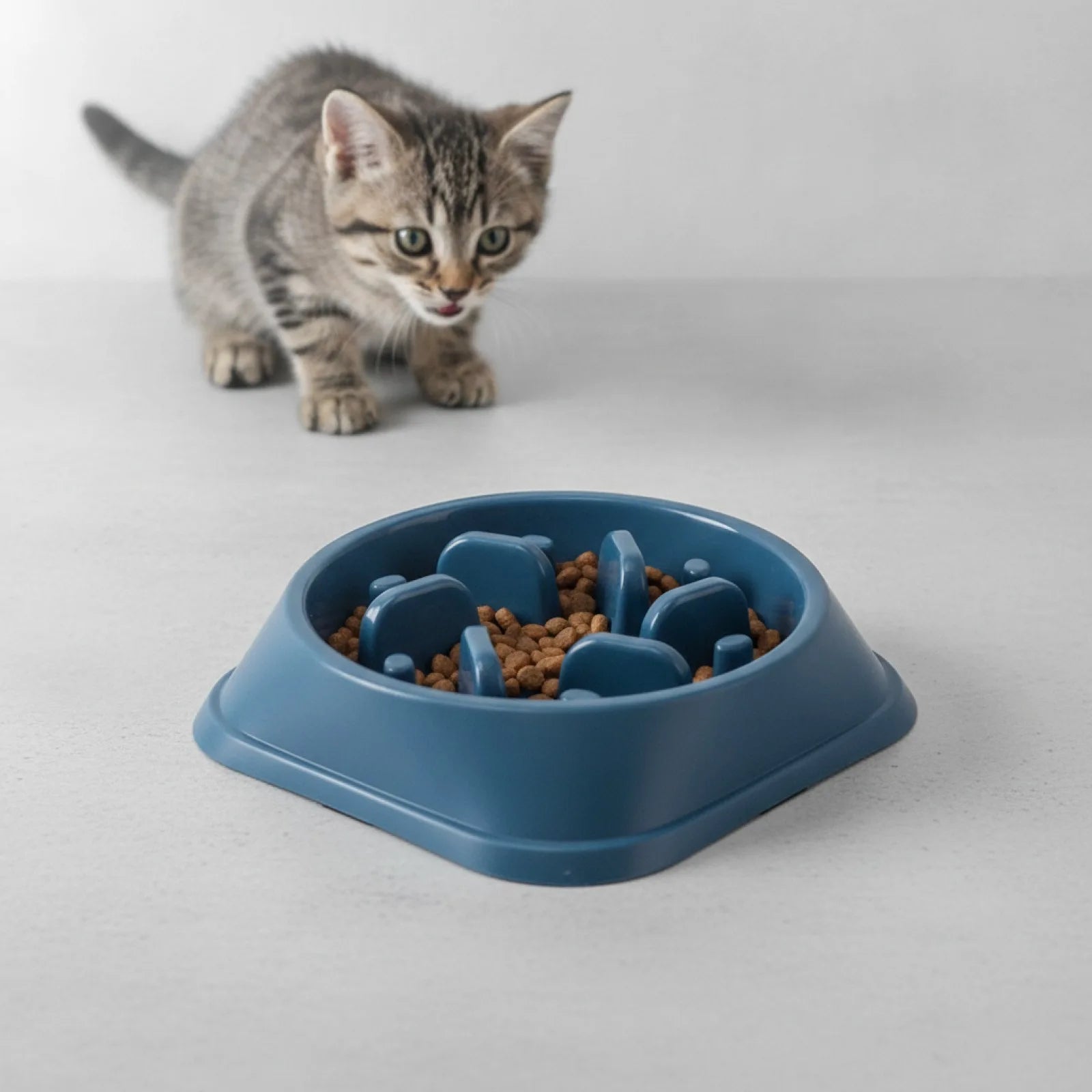 Bol ralentisseur anti-étouffement pour chiens et chats - vue de biais
