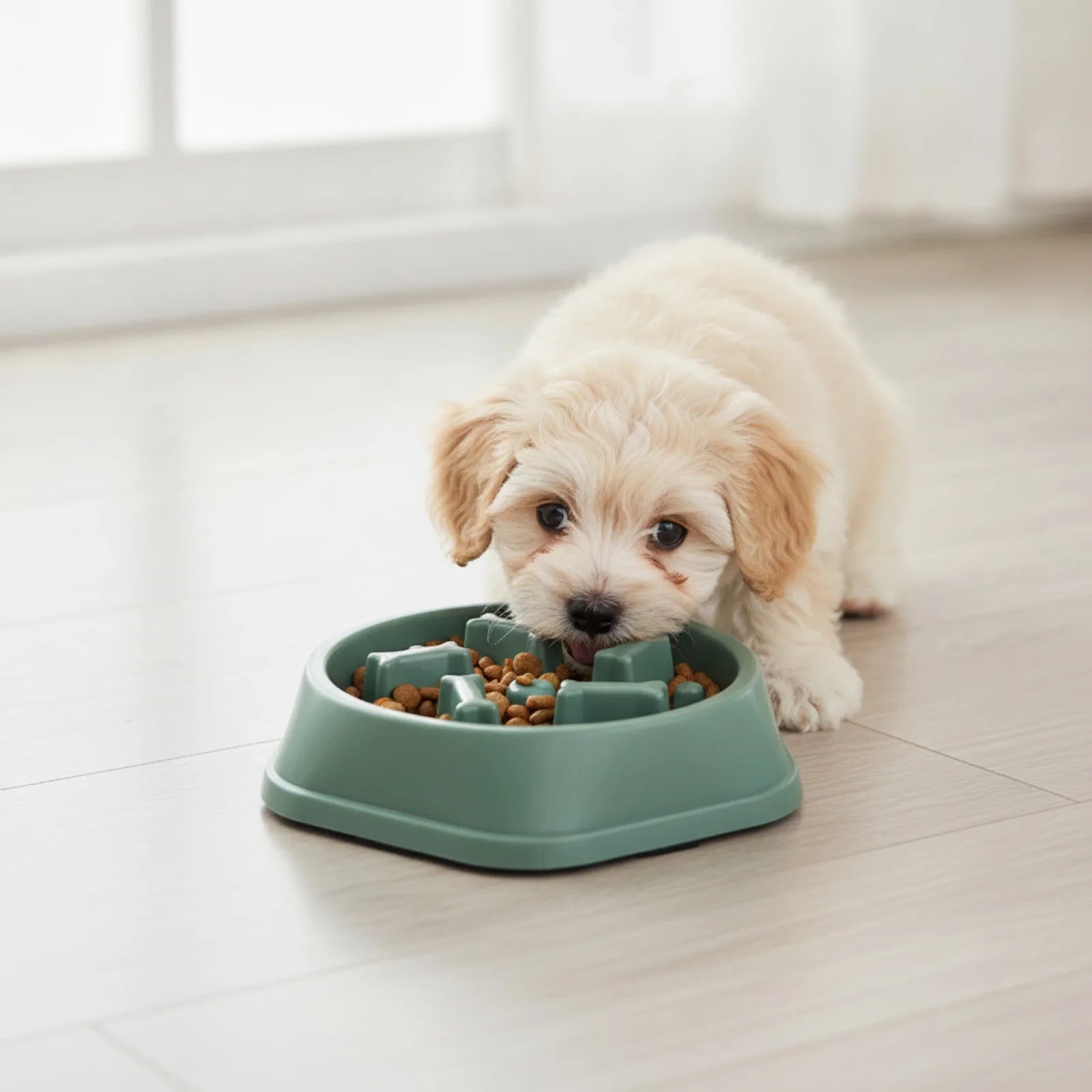 Bol ralentisseur anti-étouffement pour chiens et chats - détail