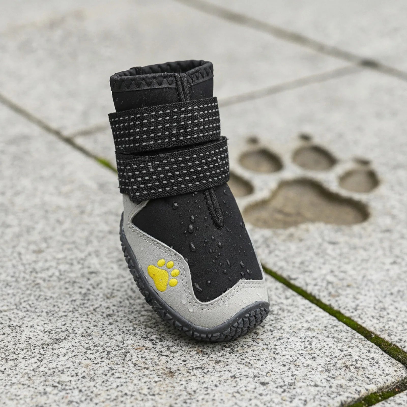 Bottes chien imperméables hiver grandes tailles - en situation