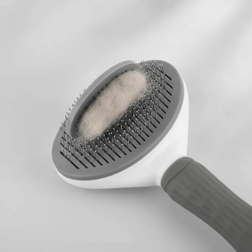 Brosse Autonettoyante pour Chien et Chat