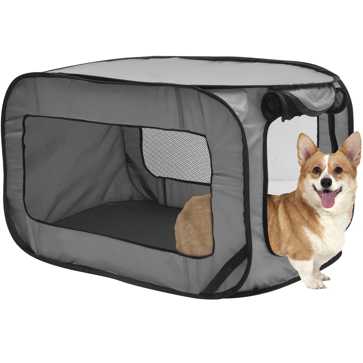 Caisse de transport pliable pour chien – vue packshot sur fond ivoire