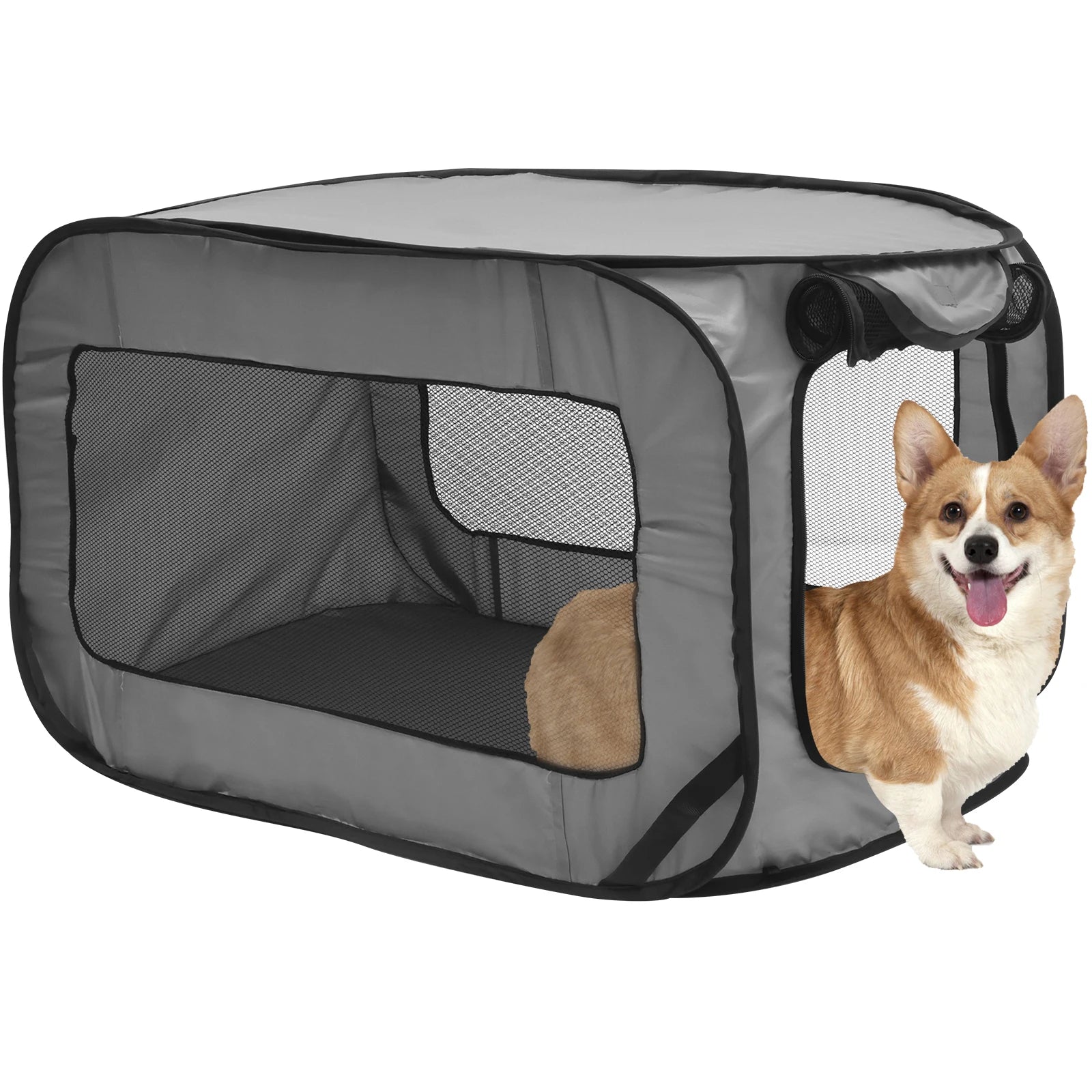 Caisse de transport pliable pour chien – vue packshot sur fond ivoire