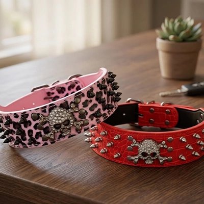 Collier Chien | Robuste et Confortable