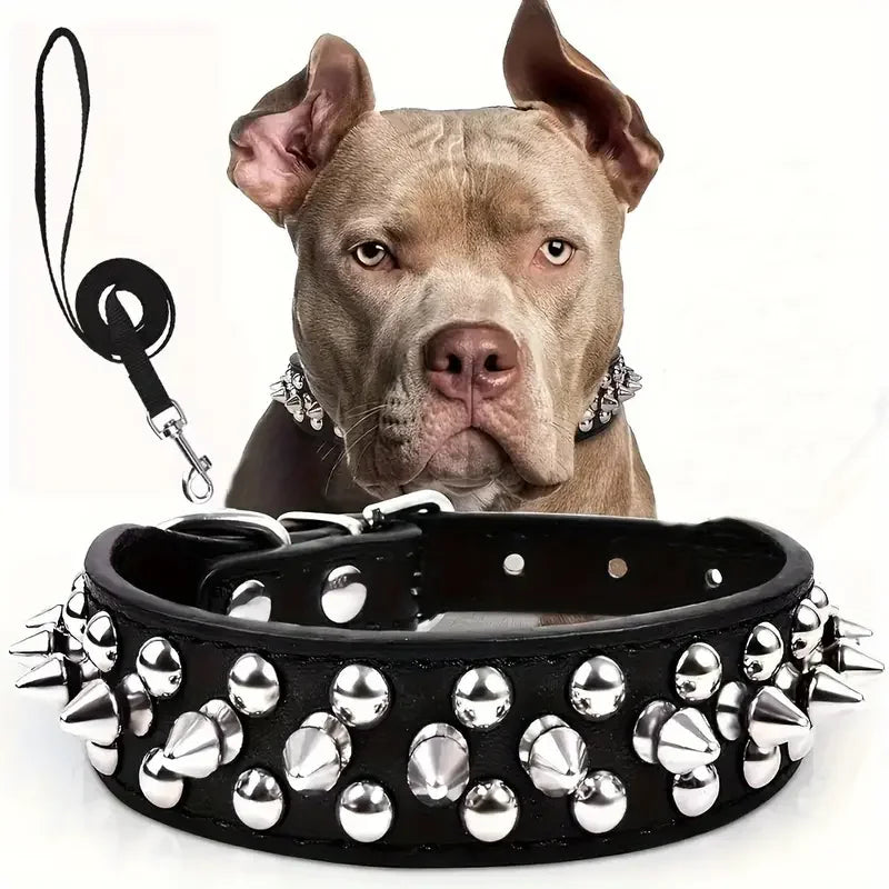 Collier clouté pour chien – vue packshot sur fond ivoire
