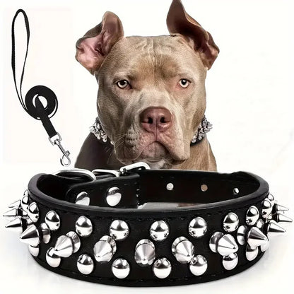 Collier clouté pour chien – vue packshot sur fond ivoire