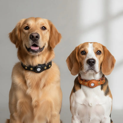 Collier cuir avec étui AirTag pour chien - détail compartiment