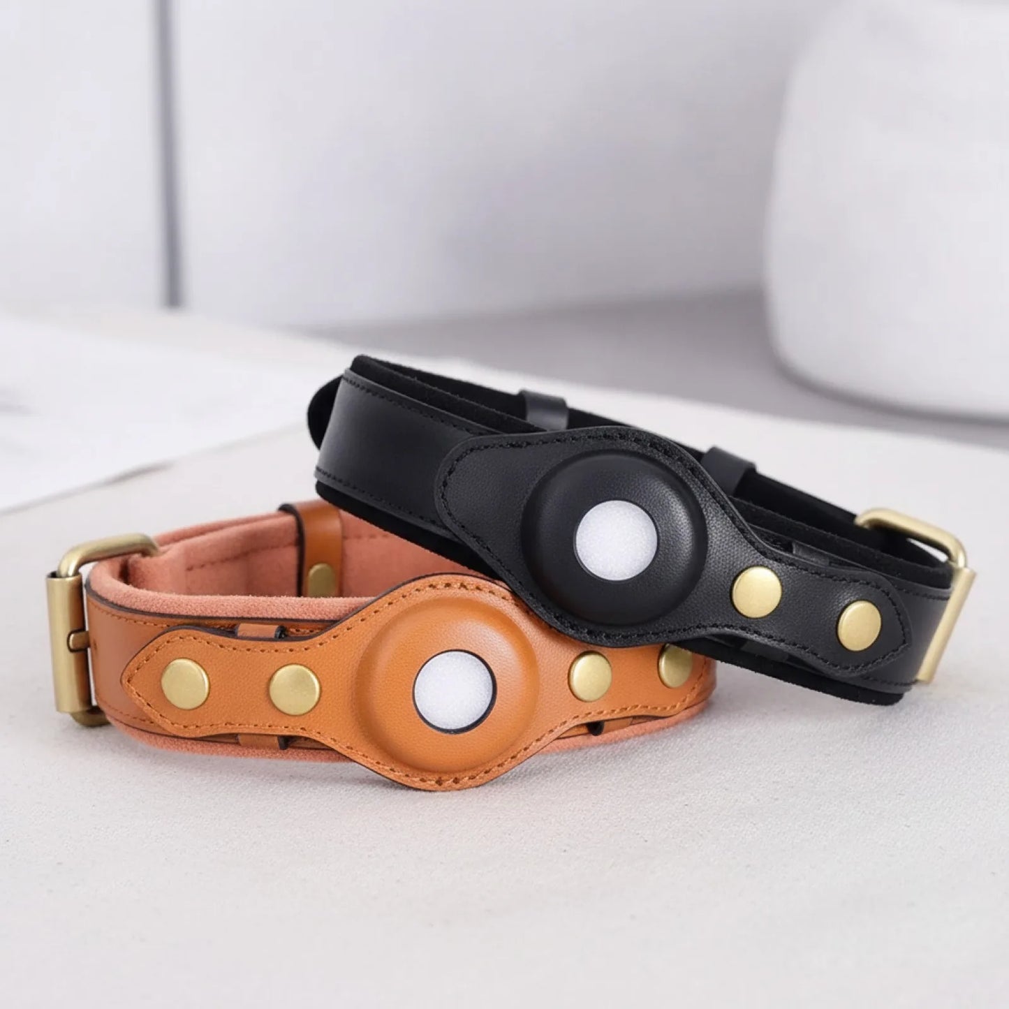 Collier cuir avec étui AirTag pour chien - en situation