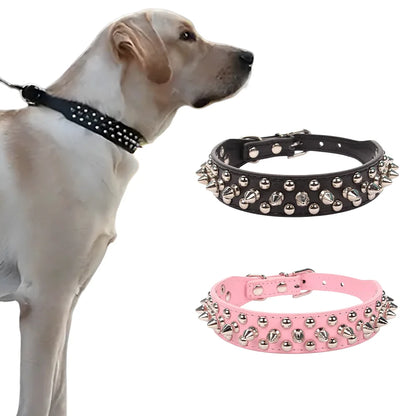 Collier clouté grand chien – vue packshot sur fond ivoire