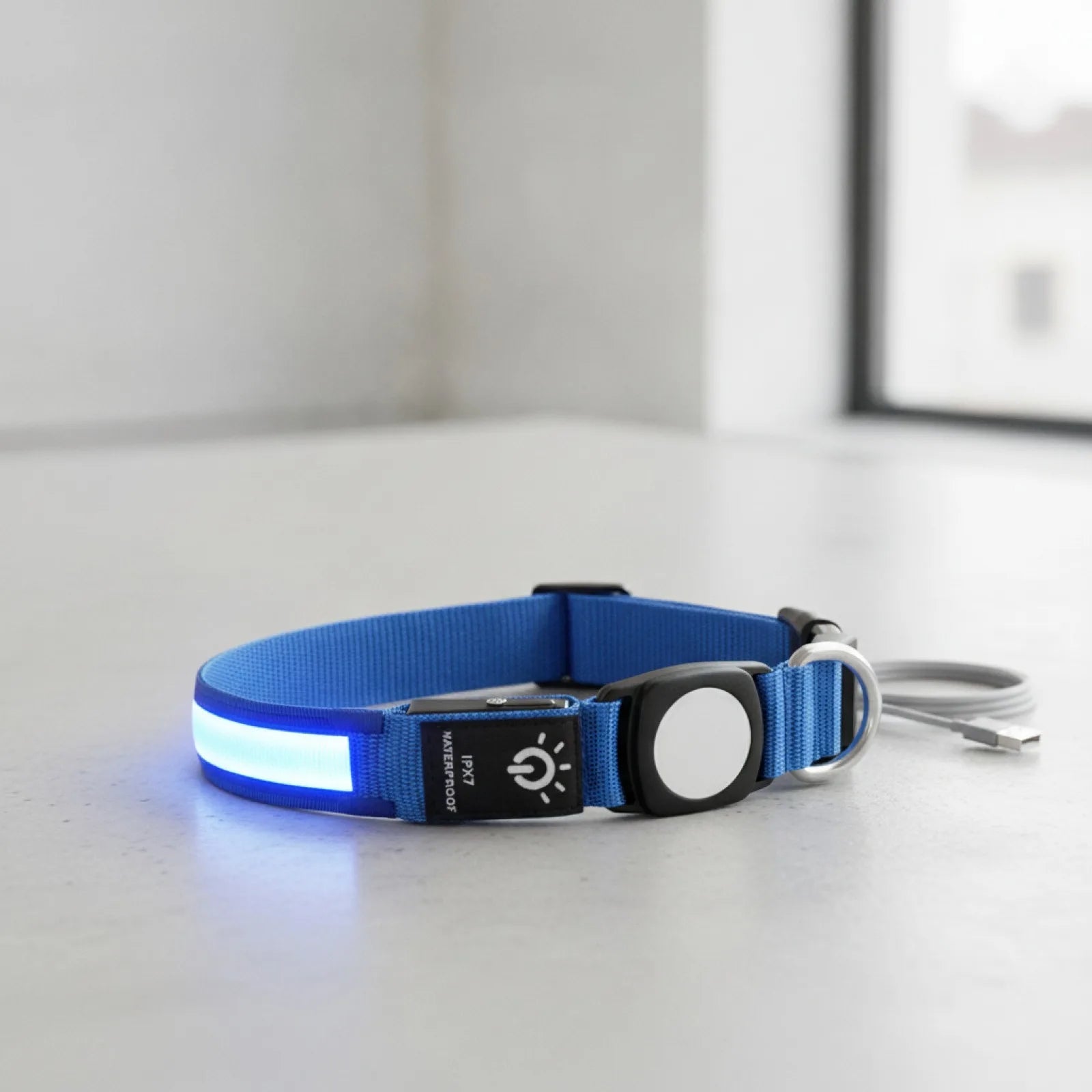 Collier lumineux GPS chien avec étui AirTag - vue de biais
