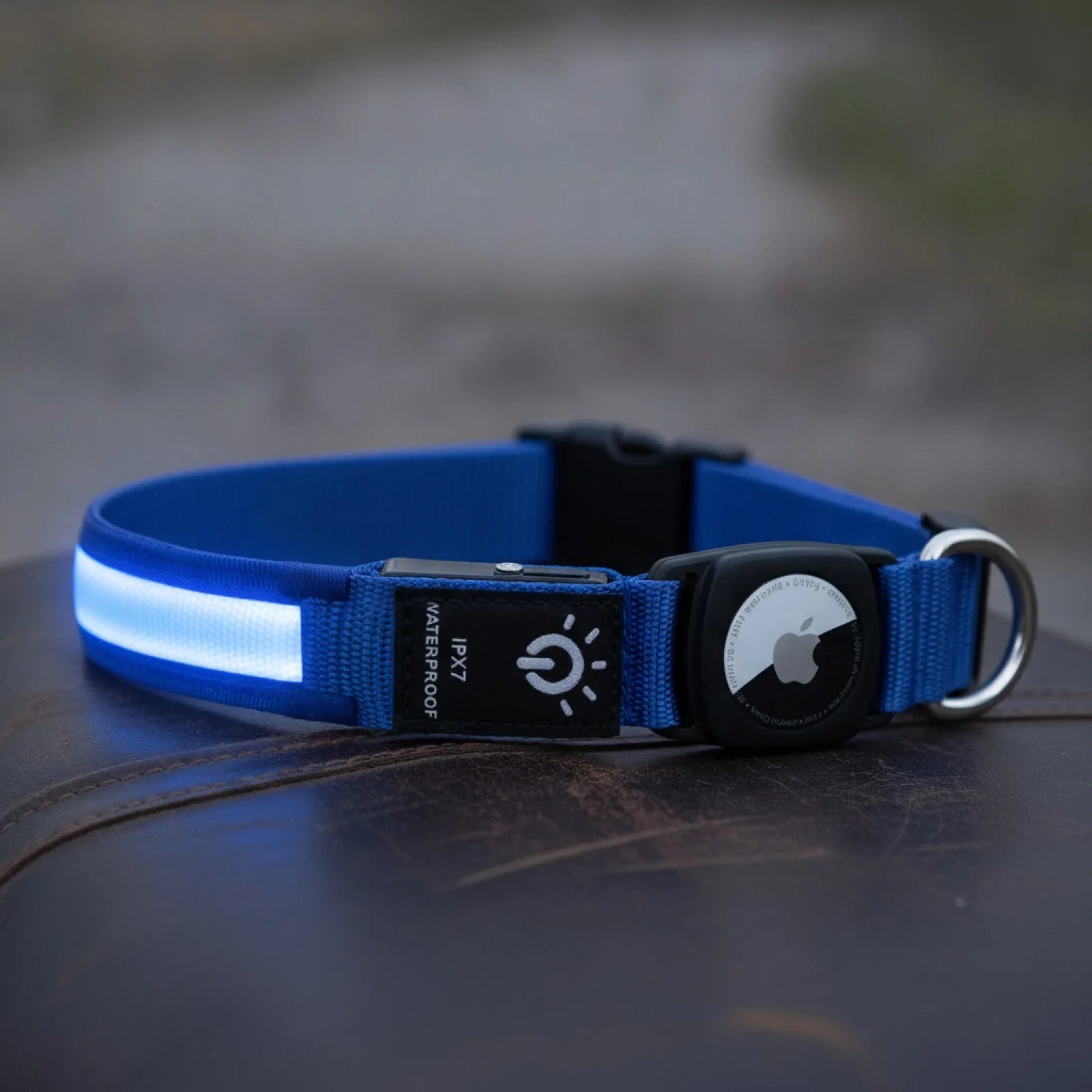 Collier lumineux GPS chien avec étui AirTag - en situation