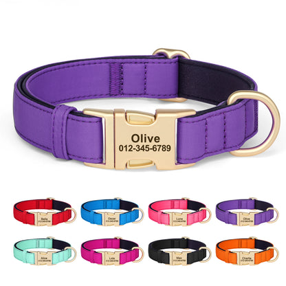 Collier chien nylon imperméable gravé - vue de face