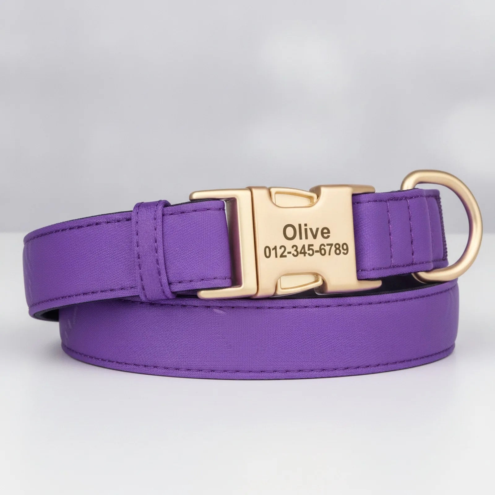 Collier chien nylon imperméable gravé - en situation