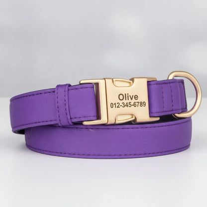 Collier chien nylon imperméable gravé - en situation