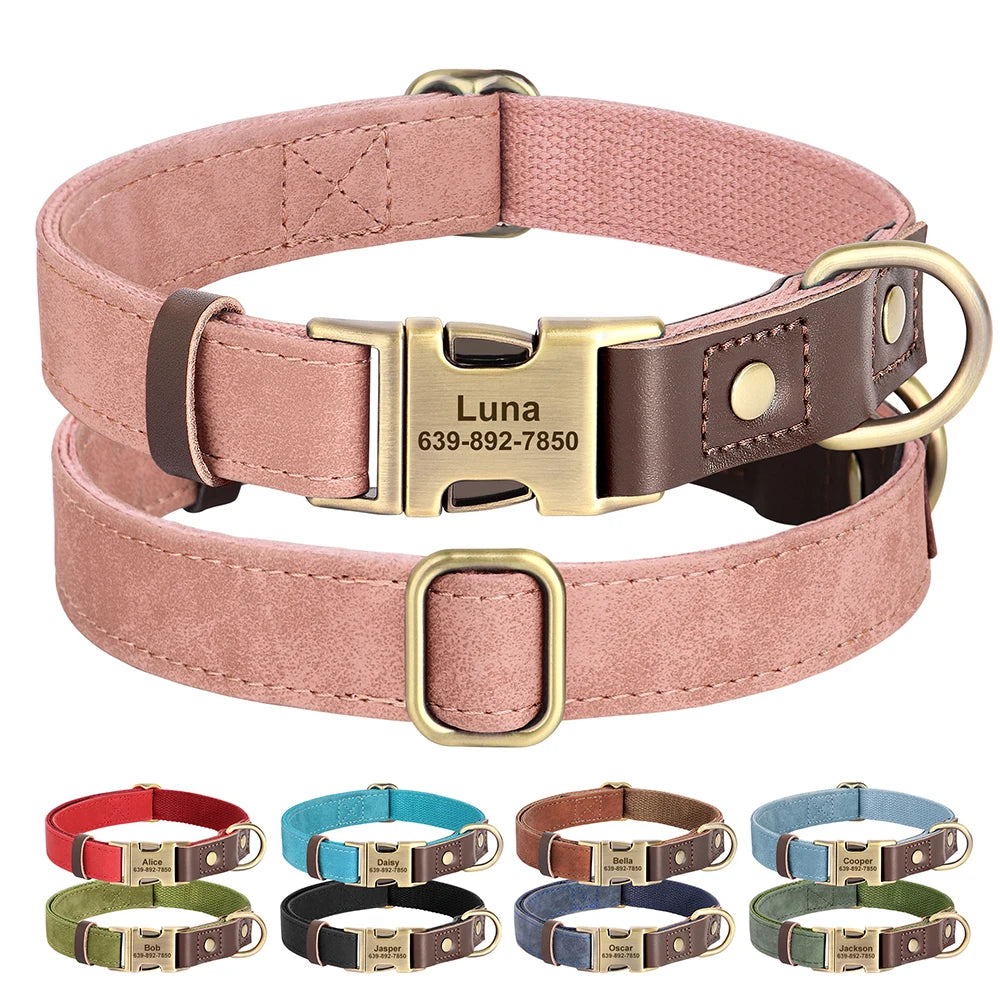 Collier personnalisé pour chien – vue packshot sur fond ivoire
