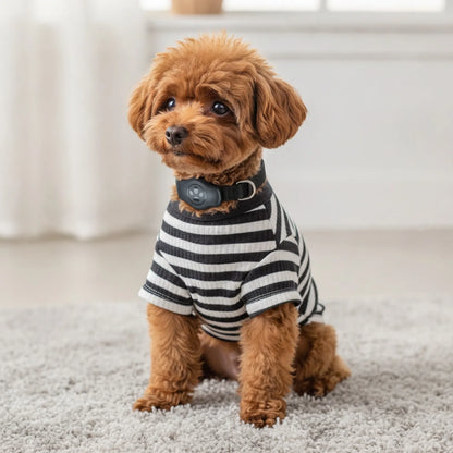 Collier chien sécurisé avec support AirTag étanche - vue de biais