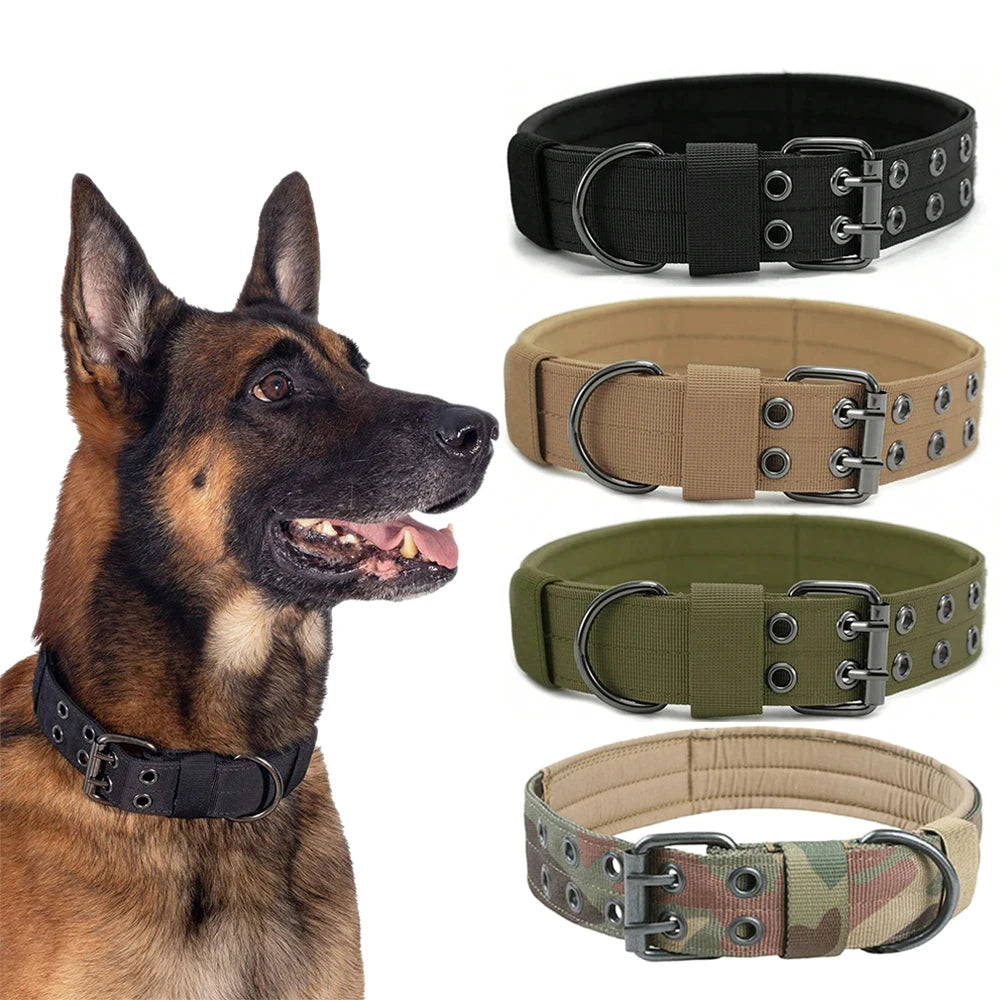 Collier tactique nylon pour chien - vue de face