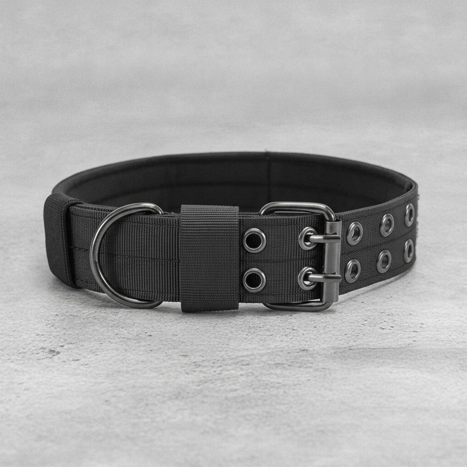 Collier tactique nylon pour chien - en situation