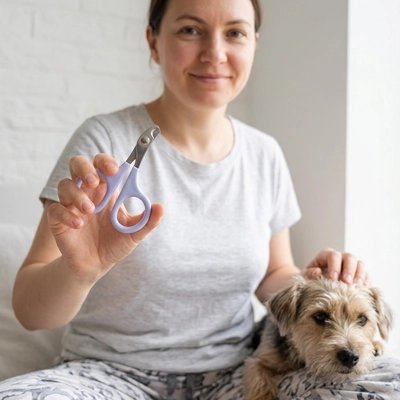 Coupe griffe Chien | Professionnel