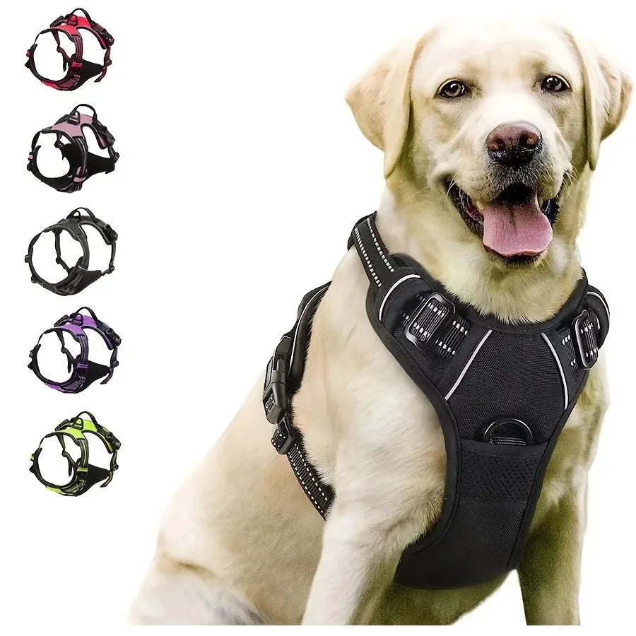 Ensemble harnais collier et laisse cuir pour chien - vue de face
